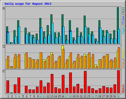 Daily usage for August 2013