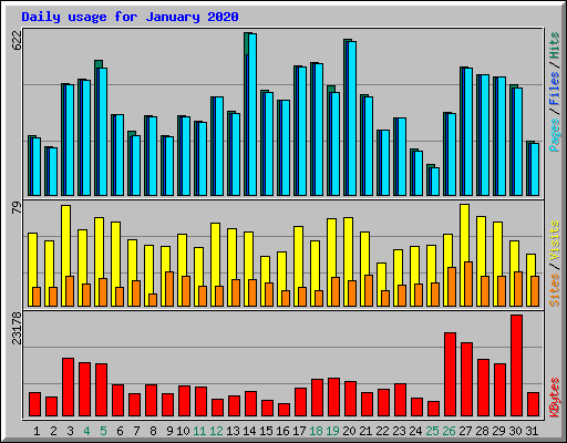 Daily usage for January 2020