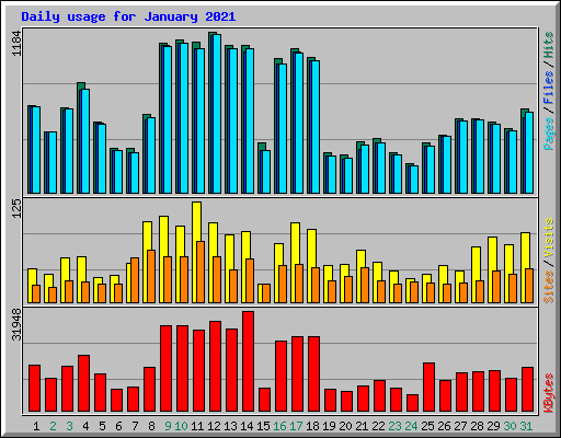 Daily usage for January 2021