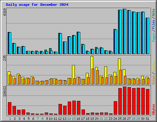 Daily usage for December 2024