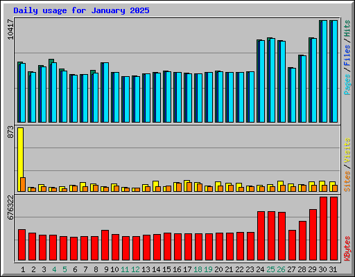 Daily usage for January 2025