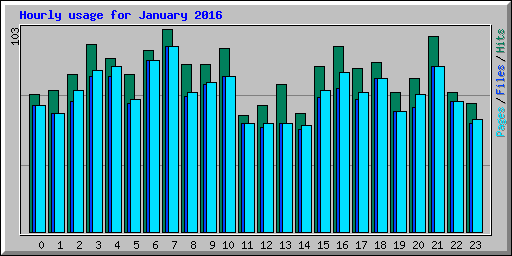 Hourly usage for January 2016