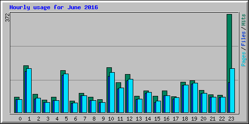Hourly usage for June 2016