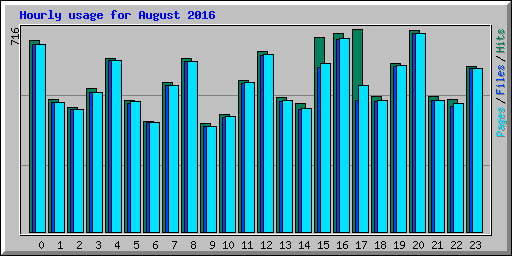 Hourly usage for August 2016