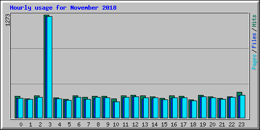 Hourly usage for November 2018
