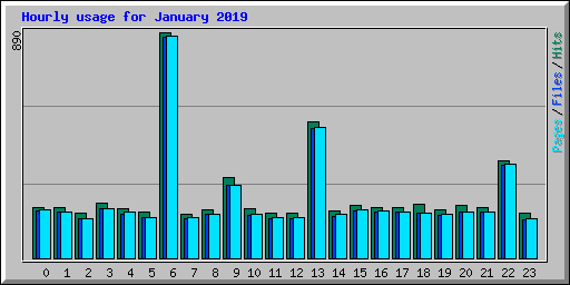 Hourly usage for January 2019
