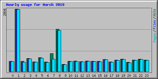 Hourly usage for March 2019