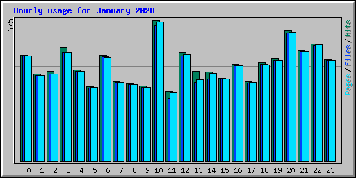Hourly usage for January 2020
