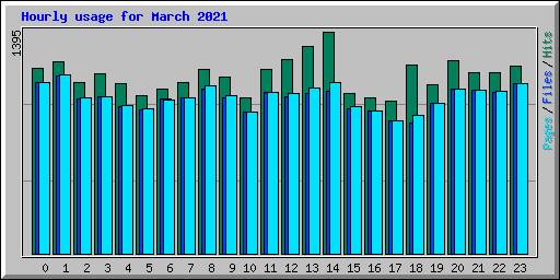 Hourly usage for March 2021
