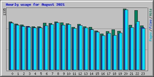 Hourly usage for August 2021