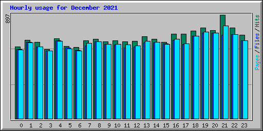 Hourly usage for December 2021