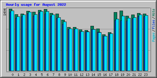Hourly usage for August 2022