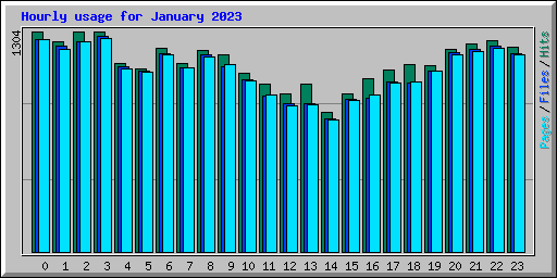 Hourly usage for January 2023