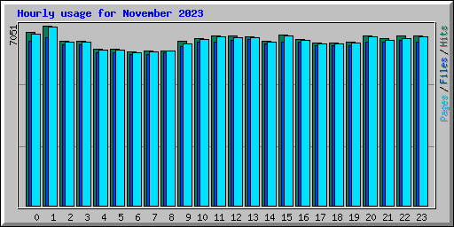 Hourly usage for November 2023