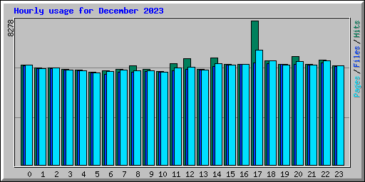 Hourly usage for December 2023