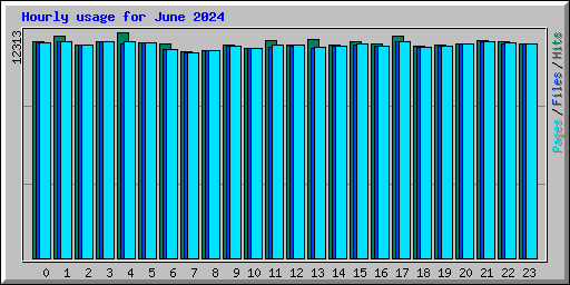 Hourly usage for June 2024