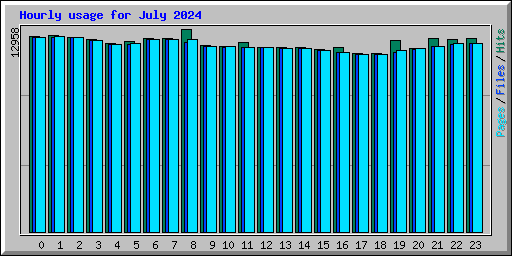 Hourly usage for July 2024