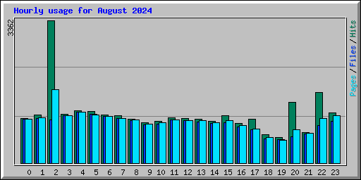 Hourly usage for August 2024