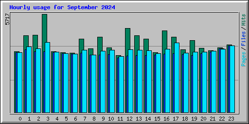 Hourly usage for September 2024