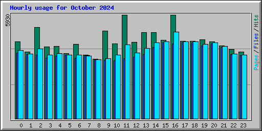Hourly usage for October 2024