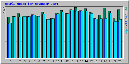 Hourly usage for November 2024