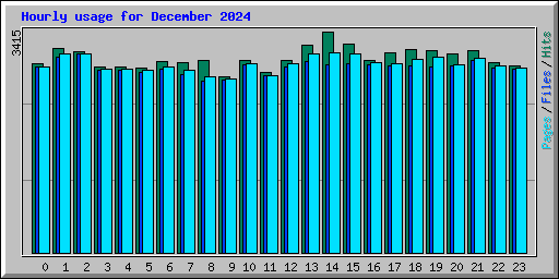 Hourly usage for December 2024