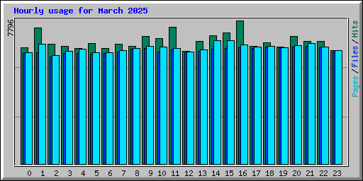 Hourly usage for March 2025