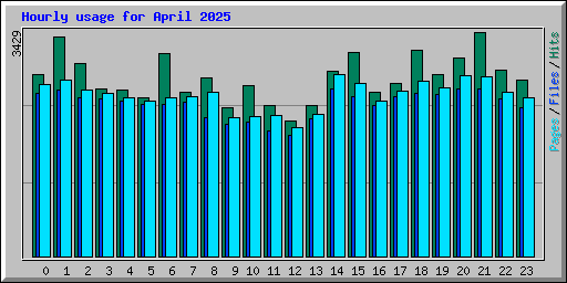 Hourly usage for April 2025