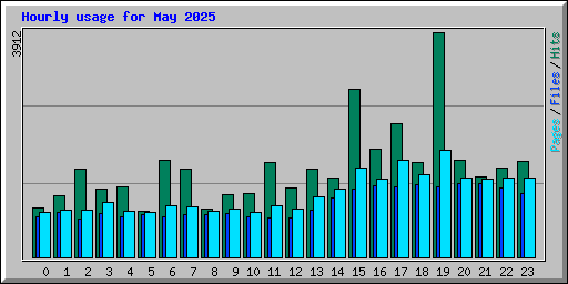 Hourly usage for May 2025
