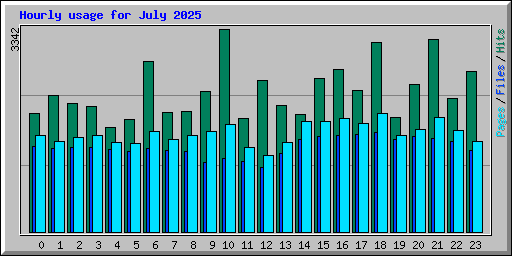 Hourly usage for July 2025