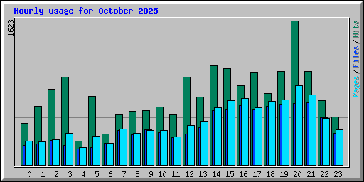 Hourly usage for October 2025