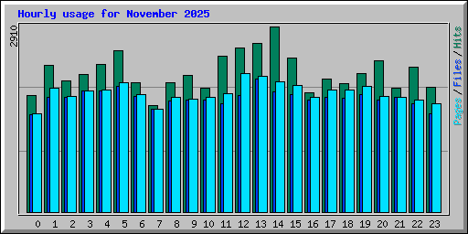 Hourly usage for November 2025
