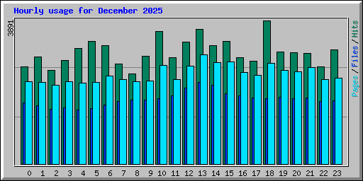 Hourly usage for December 2025