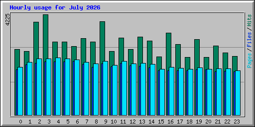Hourly usage for July 2026
